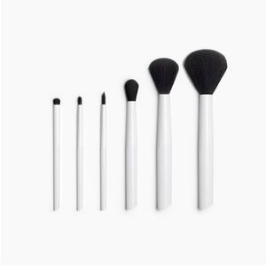 ZARA Professional Brush collection